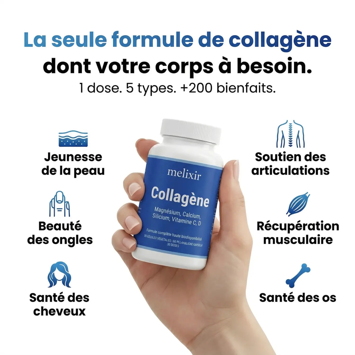 Collagène Marin Hydrolysé Melixir — face arrière composition Peptan et vitamine C