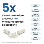 Capsules Collagène Marin Melixir — gros plan sur la capsule végétale pullulan